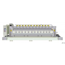 12 heads polishing line