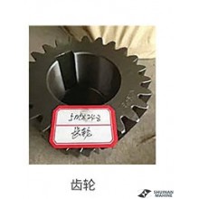 Gear for Stone Machine Accessories