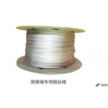 Special Steel Wire Rope For Spring Rope