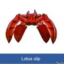 Lotus clip